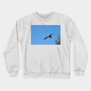 Black Kite In Flight Crewneck Sweatshirt